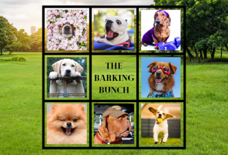 The Barking Bunch