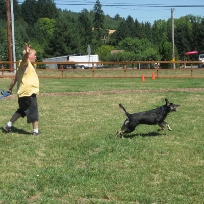 Thatcher Dog Park News Flash