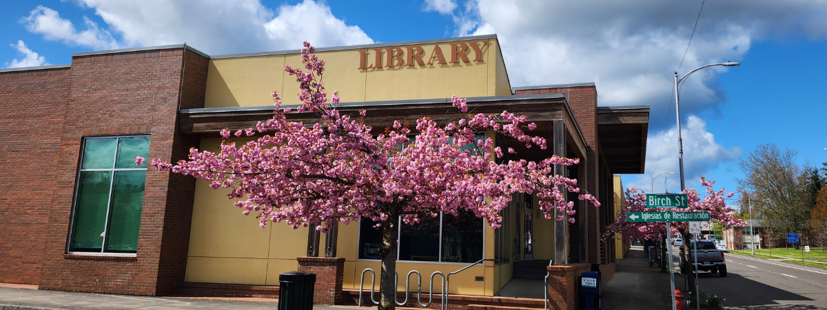 Building Outside Cherry Blossoms