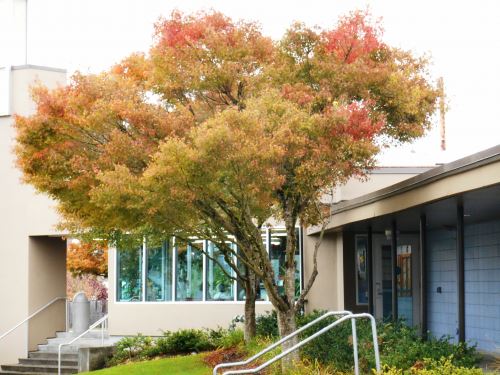 Exterior of the Aquatic Center